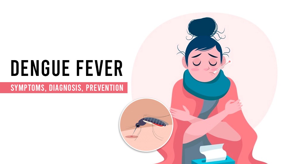 DENGUE FEVER SYMPTOMS DIAGNOSIS PREVENTION Steadfast Health