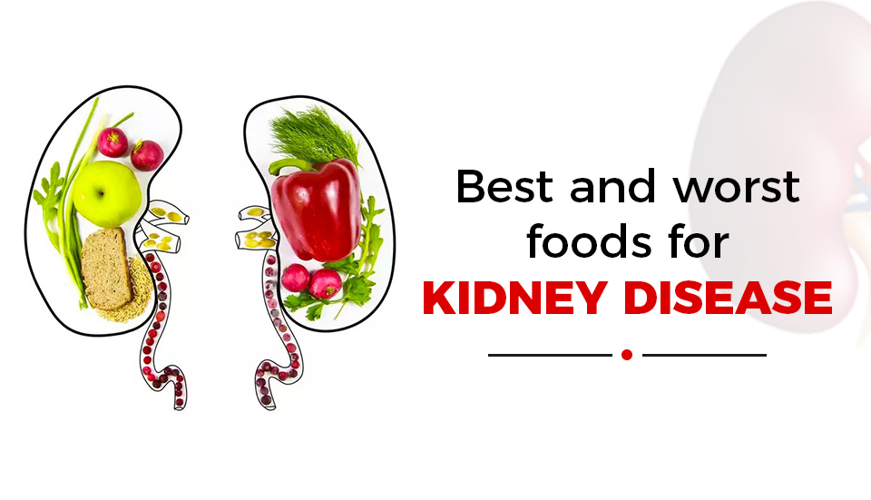 BEST AND WORST FOODS FOR KIDNEY DISEASE